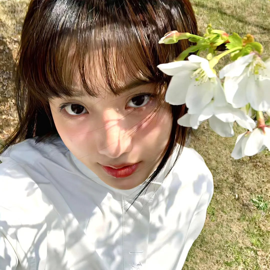 毒蜂惊魂——地球大灾难